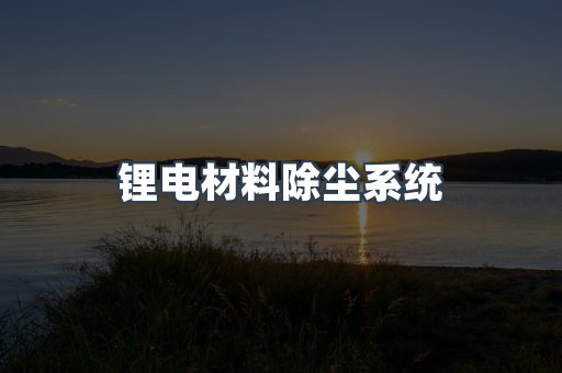 中央集尘系统
